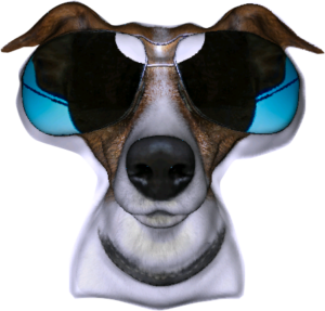 habillage rayon pet food GMS - rbl plastiques communication plv ilv decoration de point de vente